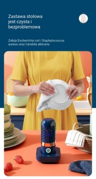 ОЗОНАТОР для продуктов питания, овощей, мяса, фруктов, рыбы