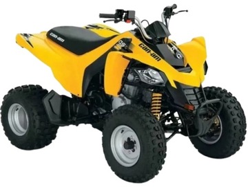 ПОДШИПНИК БАЛАНСИРОВОЧНОГО ВАЛА CAN-AM DS 250cc