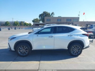 Lexus NX II 2022 Lexus NX 2022 LEXUS NX 350H 2.5 Hybryda 189KM, zdjęcie 8