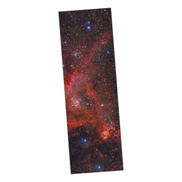 Лестница для лонгборда Griptape Star