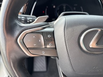 Lexus RX V 2023 Lexus RX 350h Prestige V (2022-) RX350h Prestige +, zdjęcie 14