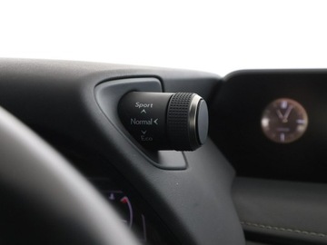 Lexus UX Crossover 250h 184KM 2019 Lexus UX FV23 250h Automat Executive Line Tempomat, zdjęcie 30