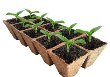 BIO Tacka torfowa doniczka 6x6cm na rozsady 12szt