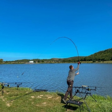 Carp Academy Endless Carp 360 3.5LB удочка из двух частей
