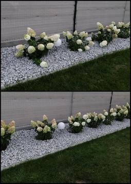 Кольцо в столкновении