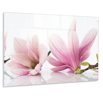 Panel do Kuchni Szkło 80x60 + Gratis