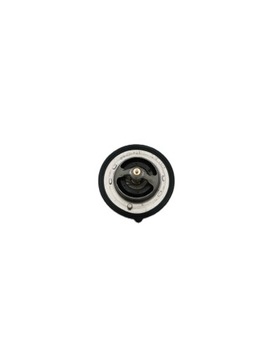 TERMOSTAT MOTORU PRO HYUNDAI ACCENT VELOSTER I30