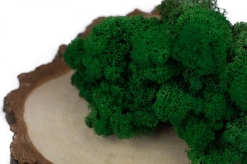 Олений мох темно-зеленый 100г.