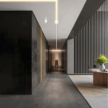 COB LED STRIP IP20 24V 360d Magic Pixel FLOWING WS2811 цифровая 1м НЕЙТРАЛЬНАЯ