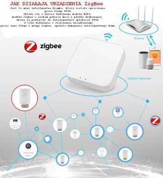 ЦЕНТРАЛЬНЫЙ БЛОК ZigBee WiFi, УМНЫЙ МОДУЛЬ TUYA