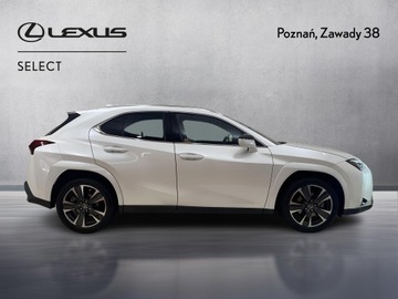 Lexus UX 2025 Lexus UX 300h Omotenashi Lexus UX 300h Omotenashi,, zdjęcie 5