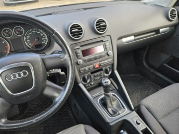 Audi A3 8P Hatchback 3d 1.6 102KM 2007 Audi A3 1,6 MPI Benzyna 102KM, zdjęcie 10