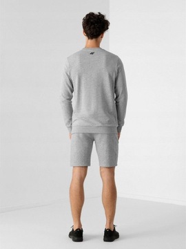 4F ШОРТЫ МУЖСКИЕ КОРОТКИЕ СПОРТИВНЫЕ ШОРТЫ ЛЕТНИЕ ЦХОМ156