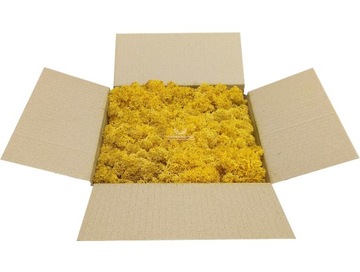 Chrobotek Dark Yellow Темно-желтый 250г НЕТТО