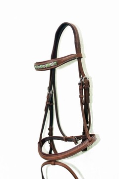 Профилированная анатомическая команда полна