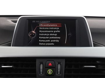 BMW X1 F48 Crossover xDrive25d 231KM 2015 BMW X1 25d Automat xDrive xLine Panorama Nawigacja, zdjęcie 27