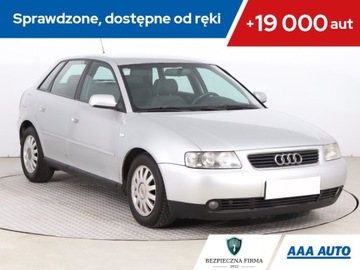 Audi A3 8L Hatchback 1.9 TDI PD 130KM 2002