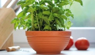 Вазон для цветов 17 см, терракота Dms03-R624 Prosperplast