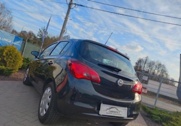 Opel Corsa E Hatchback 3d 1.4 Twinport 90KM 2016 Opel Corsa Salon POLSKA Pelny serwis Zadbana GWARANCJA Zobacz 1.4, zdjęcie 12