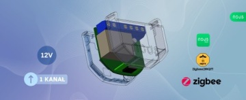 Zigbee2mqtt Module Switch входная передача Домашний помощник Noous