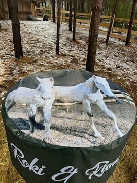 HorseMania - водонепроницаемая крышка тюка/кормушки ВАШ ПРИНТ, персонализация