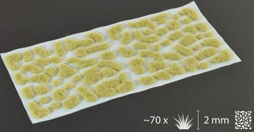Gamers Grass: Grass tufts - 2 mm - Beige (Wild)
