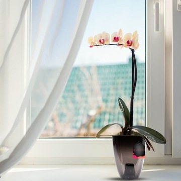 3 x крышка крышки. Storczyk 12см Графит