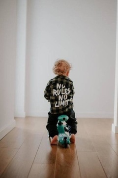 ТРЕХКОЛЕСНЫЙ СКУТЕР SCOOT & RIDE HIGHWAYKICK 1 FOREST GREEN