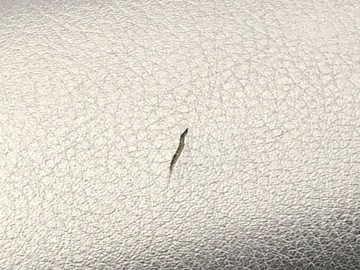 ДВЕРЬ БОКОВАЯ ПЕРЕДНЯЯ ПРАВАЯ AUDI A6 C6 Estate 04-11 ОБИВКА