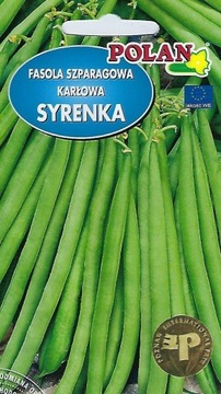 Fasola SYRENKA Zwykła Karłowa Nasiona 500G