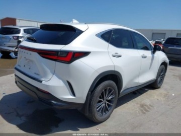 Lexus NX II 2024 Lexus NX 2024 Lexus NX NX 250 Premium FWD 2.5 Benzyna 203KM, zdjęcie 7