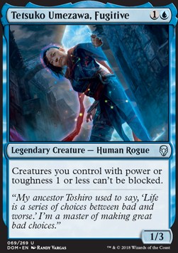 Tetsuko Umezawa, Fugitive DOM GRATISY Pjotrekkk