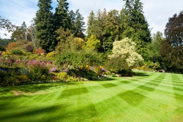 Газонная сетка от кротов КРОТ ПРОТИВ КРОТОВ ПОД ГАЗОНОМ 2х20 ПРОЧНАЯ СЕТКА