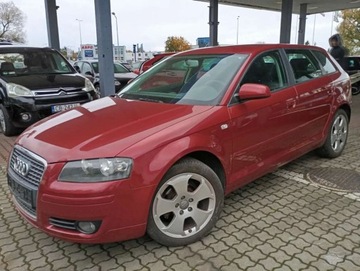 Audi A3 8P Hatchback 3d 1.6 FSI 115KM 2007 Audi A3 Sportback 1.6 benzyna CLIMATRONIC PIEKNY kolor bez rdzy 1.6 115KM, zdjęcie 5