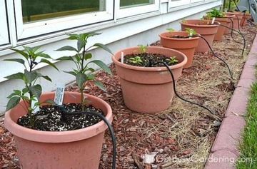 Орошение для теплиц или горшки на палках на 50 станций, комплект 33 м