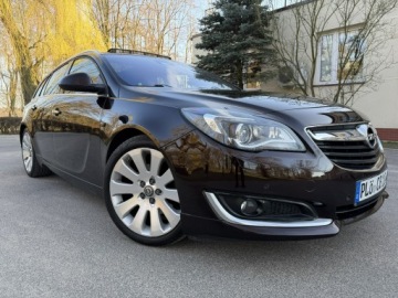 Opel Insignia I Country Tourer 2.0 CDTI BiTurbo Ecotec 195KM 2015 Opel Insignia OPC COSMO 2.0 BiTurbo 195KM Navi ALU, zdjęcie 13