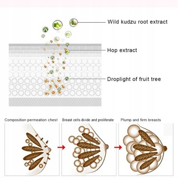 УКРЕПЛЯЮЩИЙ КРЕМ ДЛЯ УВЕЛИЧЕНИЯ ГРУДИ 100 г