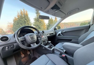 Audi A3 8P Hatchback 3d 1.6 TDI 105KM 2010 Audi A3 3-drzwiowe Audi A3 3-drzwiowe 1.6 TDI DPF Ambition 1.6 Diesel 105KM, zdjęcie 16