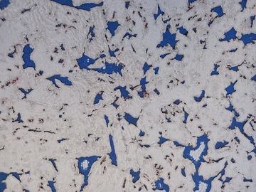 Korek ścienny - BazaLux Siberian Sky 3mm