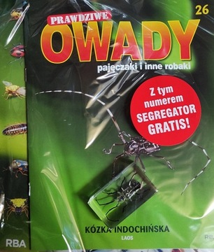 PRAWDZIWE OWADY 26/2024 KÓZKA INDOCHIŃSKA