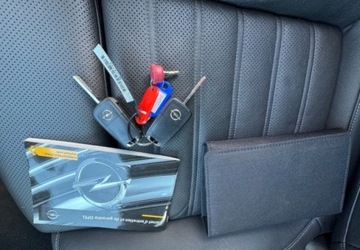 Opel Insignia I Country Tourer 2.0 CDTI Ecotec 170KM 2016 Opel Insignia Opel Insignia 2016r 2.0 Diesel 170KM, zdjęcie 29