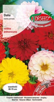 Dalia zmienna pełna i półpełna mieszanka 1g nasiona Torseed