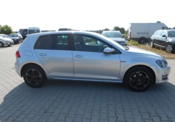 Volkswagen Golf VII Hatchback 3d 1.4 TSI BlueMotion Technology 125KM 2016 Volkswagen Golf Volkswagen Golf VII 1.4 BENZYNA 126 KM DSG 1.4 Benzyna, zdjęcie 3