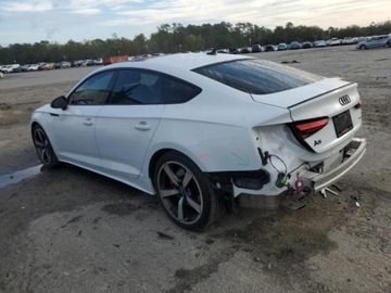 Audi A5 F5 2023 Audi A5 Premium Plus 45, 2023r., 4x4, 2.0L, zdjęcie 3