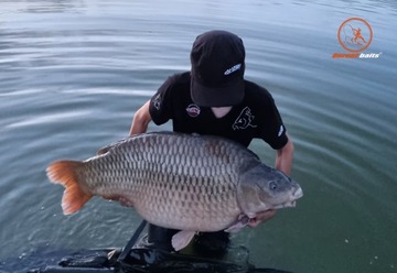 Garant Baits Ecoline Fish Mix - шарики прикормки 5 кг/24 мм