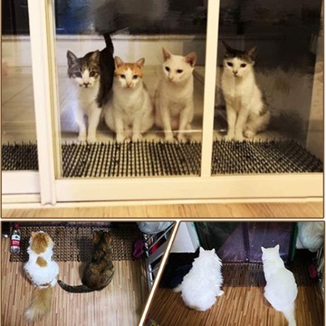 КОВрик ОТ КОШЕК С ШИФАМИ СЕТКА С ШИПАМИ.