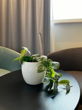 КЕРАМИЧЕСКИЙ ШАР КРЫШКА ДЛЯ ЦВЕТОЧНОГО ВАЗОНА 17 СМ, БЕЛЫЙ ГЛЯНЦЕВЫЙ