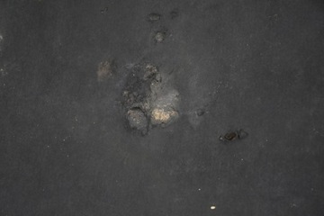 KAPOTA KRYT MOTORU VOLVO S60 I