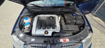 Audi A3 8P Hatchback 3d 1.9 TDI 105KM 2004 Audi A3 Sportback 1,9TDI 105 KM Alu Klima Import Raty Oplaty ASO 1.9, zdjęcie 32