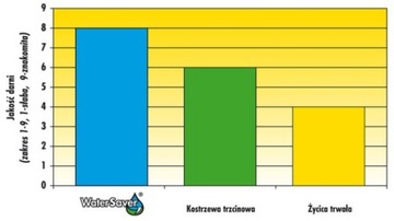 Trawa Nasiona Water Saver na Suszę 1 kg BARENBRUG